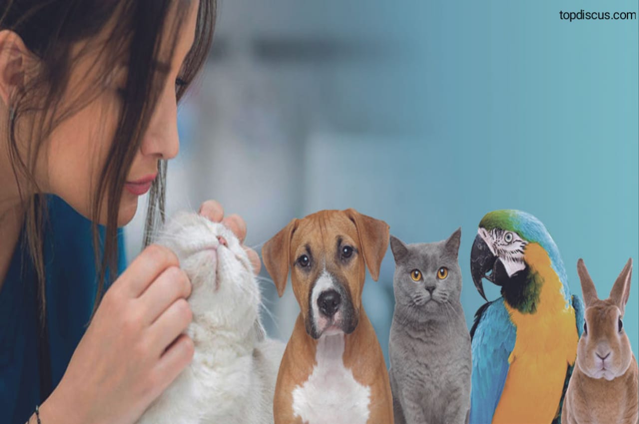 Best Pet Clinics in Dubai
