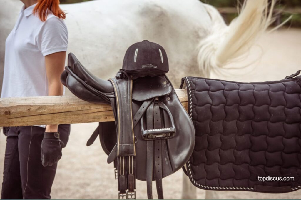 Best Training Tips for Horse Riding