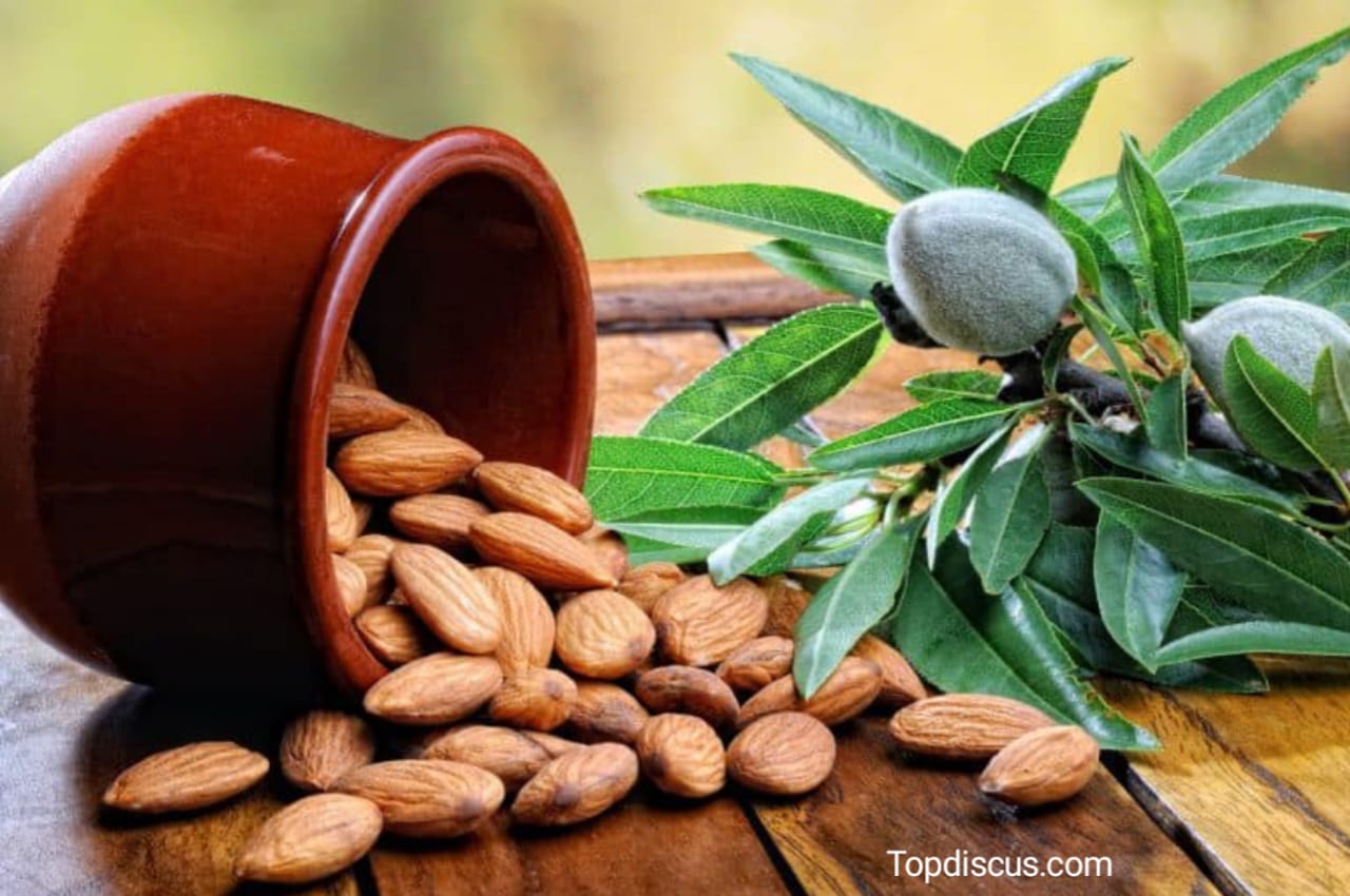 How to Grow Almond Tree at Home