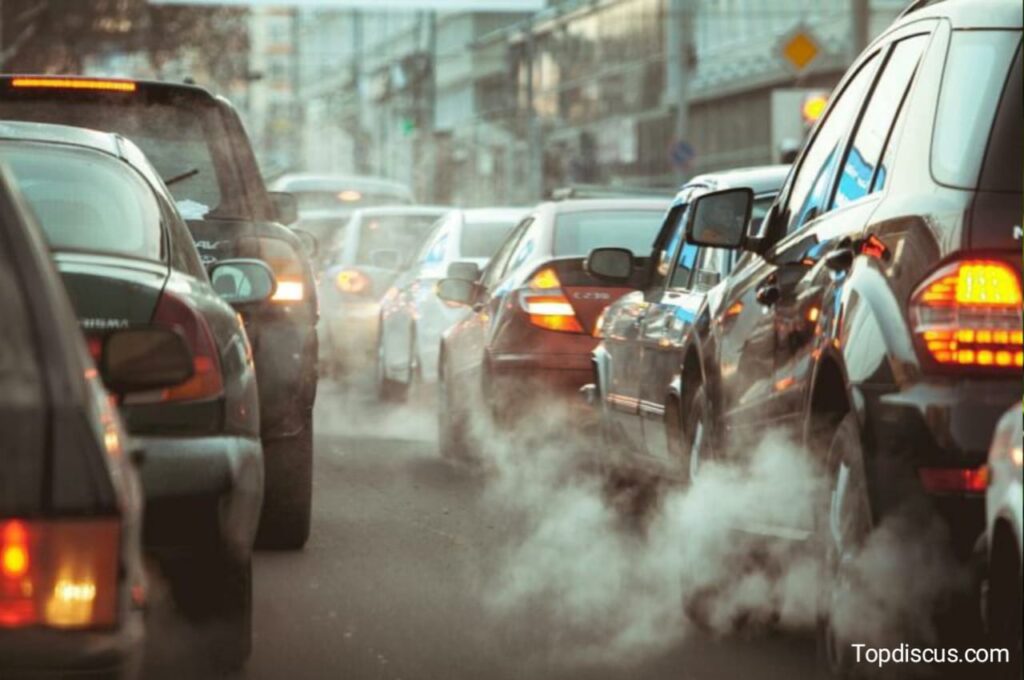 Top 5 Ways to Reduce Pollution